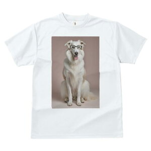 {]C TVc  j[NfUCfB[X t@  t vg lJWA 킢 lԗp Mtg I ҏ΍ Kl {]C