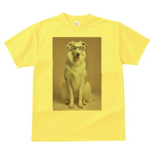 {]C TVc  j[NfUCY LbY t@  t vg lJWA 킢 lԗp Mtg I ҏ΍ Kl {]C