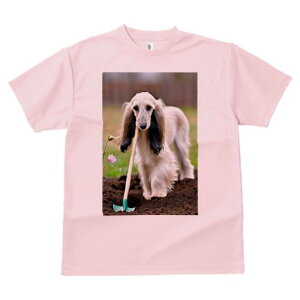 AtKnEh TVc  j[NfUCfB[X t@  t vg lJWA 킢 lԗp Mtg I ҏ΍ K[fjO AtKnEh  y