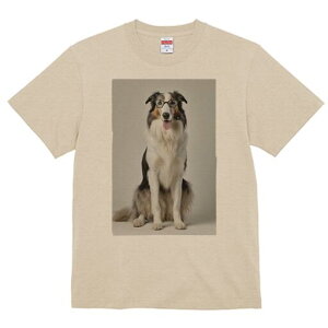 R[ TVc  j[NfUCY LbY t@  t vg lJWA 킢 lԗp Mtg I ҏ΍ Kl R[