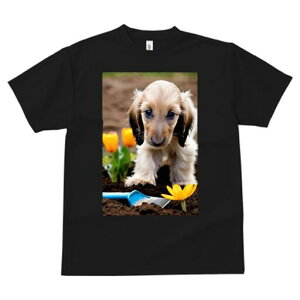 AtKnEh TVc  j[NfUCfB[X t@  t vg lJWA 킢 lԗp Mtg I ҏ΍  AtKnEh  Vx