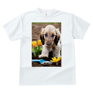 AtKnEh TVc  j[NfUCfB[X t@  t vg lJWA 킢 lԗp Mtg I ҏ΍  AtKnEh  Vx