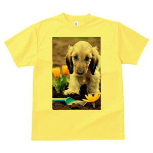 AtKnEh TVc  j[NfUCfB[X t@  t vg lJWA 킢 lԗp Mtg I ҏ΍  AtKnEh  Vx