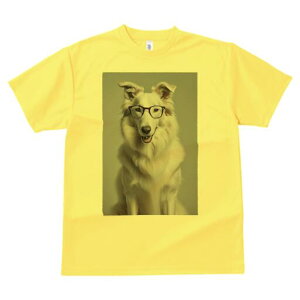 zCgXCXVFp[hhbO TVc  j[NfUCfB[X t@  t vg lJWA 킢 lԗp Mtg I ҏ΍ Kl zCgXCXV