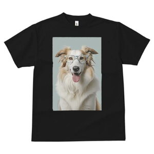 {[_[R[ TVc  j[NfUCfB[X t@  t vg lJWA 킢 lԗp Mtg I ҏ΍ Kl {[_[R[