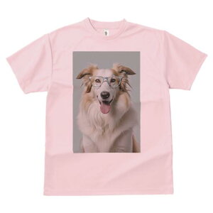 {[_[R[ TVc  j[NfUCY LbY t@  t vg lJWA 킢 lԗp Mtg I ҏ΍ Kl {[_[R[