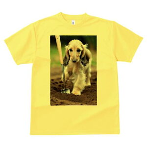 AtKnEh TVc  j[NfUCfB[X t@  t vg lJWA 킢 lԗp Mtg I ҏ΍ Vx AtKnEh y