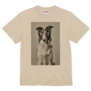 {[_[R[ TVc  j[NfUCfB[X t@  t vg lJWA 킢 lԗp Mtg I ҏ΍ Kl {[_[R[