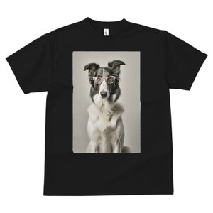 {[_[R[ TVc  j[NfUCfB[X t@  t vg lJWA 킢 lԗp Mtg I ҏ΍ Kl {[_[R[