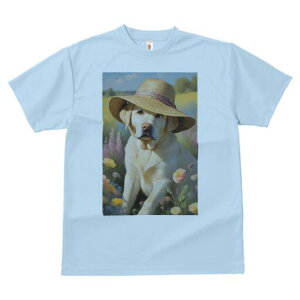 uh[go[ TVc  j[NfUCfB[X t@  t vg lJWA 킢 lԗp Mtg I ҏ΍ Xq uh[go[  