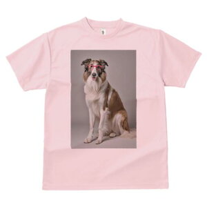 {]C TVc  j[NfUCfB[X t@  t vg lJWA 킢 lԗp Mtg I ҏ΍ Kl {]C