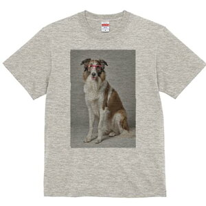 {]C TVc  j[NfUCY LbY t@  t vg lJWA 킢 lԗp Mtg I ҏ΍ Kl {]C