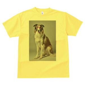 {]C TVc  j[NfUCY LbY t@  t vg lJWA 킢 lԗp Mtg I ҏ΍ Kl {]C