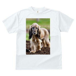 AtKnEh TVc  j[NfUCfB[X t@  t vg lJWA 킢 lԗp Mtg I ҏ΍ y AtKnEh 