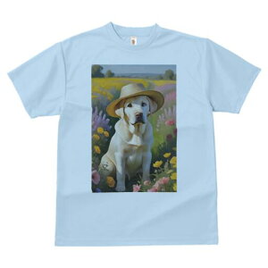 uh[go[ TVc  j[NfUCfB[X t@  t vg lJWA 킢 lԗp Mtg I ҏ΍ Xq uh[go[ 