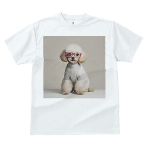 gCv[h TVc  j[NfUCfB[X t@  t vg lJWA 킢 lԗp Mtg I ҏ΍ Kl gCv[h Z[^[