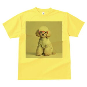 gCv[h TVc  j[NfUCfB[X t@  t vg lJWA 킢 lԗp Mtg I ҏ΍ Kl gCv[h Z[^[