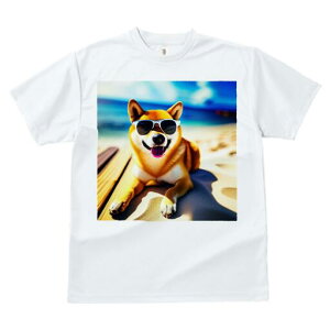 Č TVc  j[NfUCfB[X t@  t vg lJWA 킢 lԗp Mtg I ҏ΍ TOX Č r[`