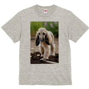 AtKnEh TVc  j[NfUCfB[X t@  t vg lJWA 킢 lԗp Mtg I ҏ΍ Vx AtKnEh  y