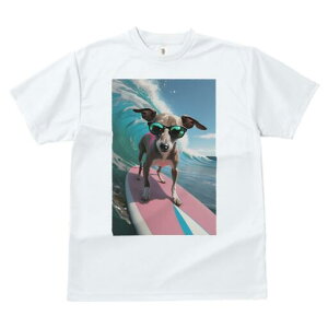 C^AO[nEh TVc  j[NfUCY LbY t@  t vg lJWA 킢 lԗp Mtg I ҏ΍ T[tB C^AO