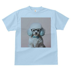 gCv[h TVc  j[NfUCfB[X t@  t vg lJWA 킢 lԗp Mtg I ҏ΍ Kl gCv[h lN^C