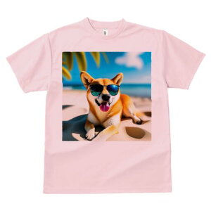 Č TVc  j[NfUCfB[X t@  t vg lJWA 킢 lԗp Mtg I ҏ΍ r[` Č  C x