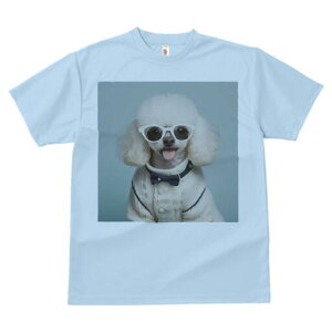 gCv[h TVc  j[NfUCfB[X t@  t vg lJWA 킢 lԗp Mtg I ҏ΍ Kl gCv[h Z[^[ lN^C