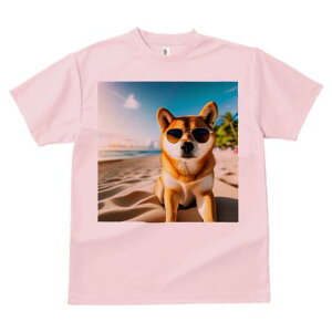 Č TVc  j[NfUCfB[X t@  t vg lJWA 킢 lԗp Mtg I ҏ΍ r[` Č TOX C l