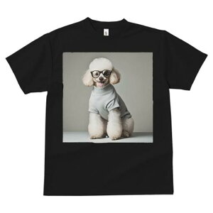 gCv[h TVc  j[NfUCfB[X t@  t vg lJWA 킢 lԗp Mtg I ҏ΍ Kl gCv[h Z[^[