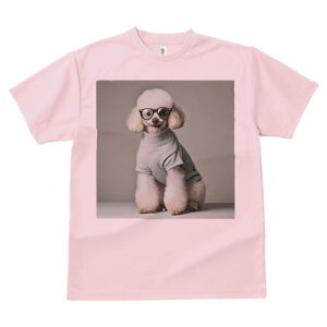 gCv[h TVc  j[NfUCfB[X t@  t vg lJWA 킢 lԗp Mtg I ҏ΍ Kl gCv[h Z[^[