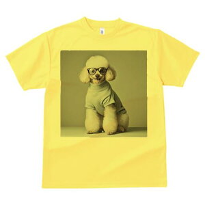 gCv[h TVc  j[NfUCfB[X t@  t vg lJWA 킢 lԗp Mtg I ҏ΍ Kl gCv[h Z[^[