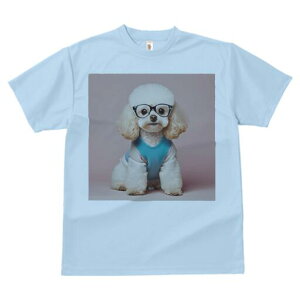 gCv[h TVc  j[NfUCfB[X t@  t vg lJWA 킢 lԗp Mtg I ҏ΍ Kl gCv[h 