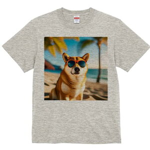 Č TVc  j[NfUCfB[X t@  t vg lJWA 킢 lԗp Mtg I ҏ΍ r[` Č TOX V̖ C