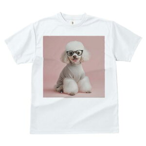 v[h TVc  j[NfUCfB[X t@  t vg lJWA 킢 lԗp Mtg I ҏ΍ Kl v[h 