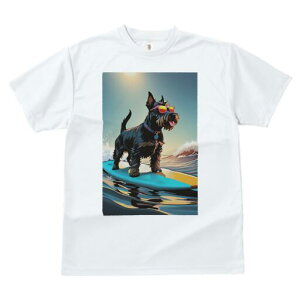 XReBbVeA TVc  j[NfUCfB[X t@  t vg lJWA 킢 lԗp Mtg I ҏ΍ T[tB XReBbVeA 