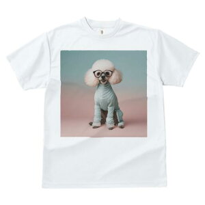 v[h TVc  j[NfUCfB[X t@  t vg lJWA 킢 lԗp Mtg I ҏ΍ Z[^[ v[h Kl