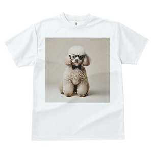 gCv[h TVc  j[NfUCfB[X t@  t vg lJWA 킢 lԗp Mtg I ҏ΍ Kl gCv[h lN^C