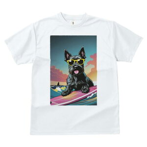 XReBbVeA TVc  j[NfUCfB[X t@  t vg lJWA 킢 lԗp Mtg I ҏ΍ TOX XReBbVeA 