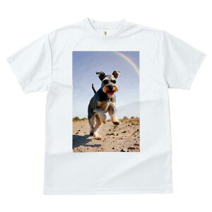 ~j`AViEU[ TVc  j[NfUCfB[X t@  t vg lJWA 킢 lԗp Mtg I ҏ΍  ~j`AViEU[   