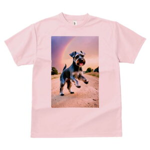 ~j`AViEU[ TVc  j[NfUCfB[X t@  t vg lJWA 킢 lԗp Mtg I ҏ΍  ~j`AViEU[ 