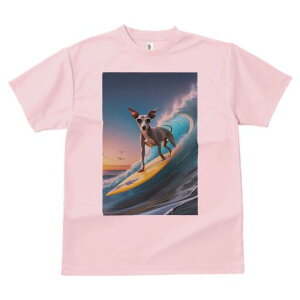 C^AO[nEh TVc  j[NfUCfB[X t@  t vg lJWA 킢 lԗp Mtg I ҏ΍ T[tB C^AO[n