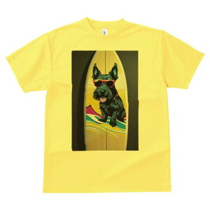 XReBbVeA TVc  j[NfUCfB[X t@  t vg lJWA 킢 lԗp Mtg I ҏ΍ T[t{[h XReBbVeA