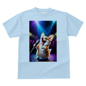 R[M[ TVc  j[NfUCfB[X t@  t vg lJWA 킢 lԗp Mtg I ҏ΍ Xe[W R[M[ Cg }CN y