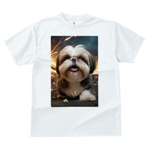 V[Y[ TVc  j[NfUCfB[X t@  t vg lJWA 킢 lԗp Mtg I ҏ΍ wi V[Y[  Ή