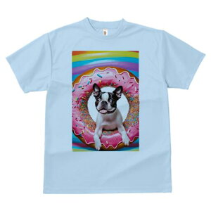 {XgeA TVc  j[NfUCfB[X t@  t vg lJWA 킢 lԗp Mtg I ҏ΍ h[ic {XgeA XvN s