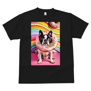 {XgeA TVc  j[NfUCfB[X t@  t vg lJWA 킢 lԗp Mtg I ҏ΍ h[ic {XgeA XC[c sN