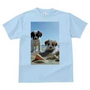 WbNbZeA TVc  j[NfUCfB[X t@  t vg lJWA 킢 lԗp Mtg I ҏ΍ r[` WbNbZeA 