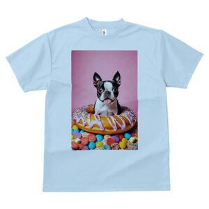 {XgeA TVc  j[NfUCY LbY t@  t vg lJWA 킢 lԗp Mtg I ҏ΍ h[ic {XgeA XvN 