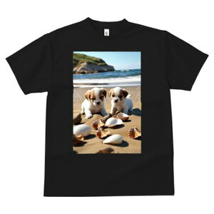 WbNbZeA TVc  j[NfUCfB[X t@  t vg lJWA 킢 lԗp Mtg I ҏ΍ r[` WbNbZeA 