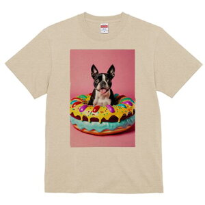 {XgeA TVc  j[NfUCfB[X t@  t vg lJWA 킢 lԗp Mtg I ҏ΍ h[ic {XgeA XC[c َq 